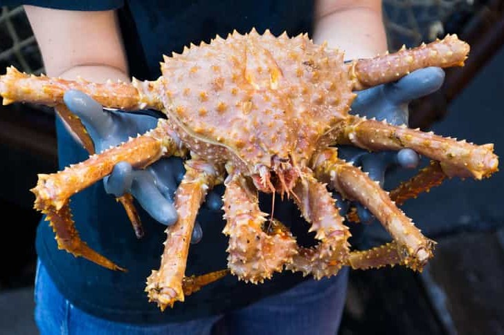 Bering Sea Crab Fisherman