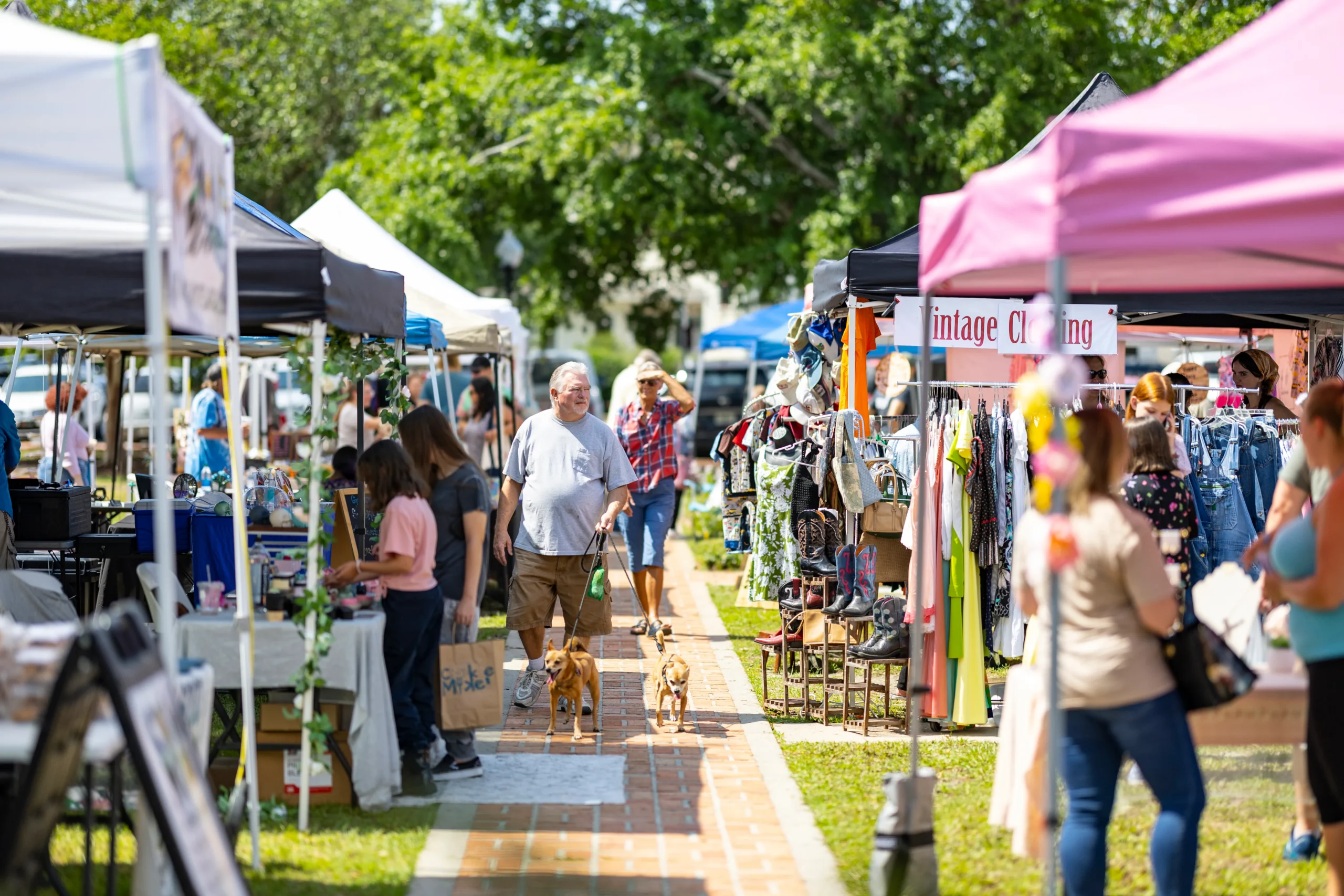 Local Markets & Cafés